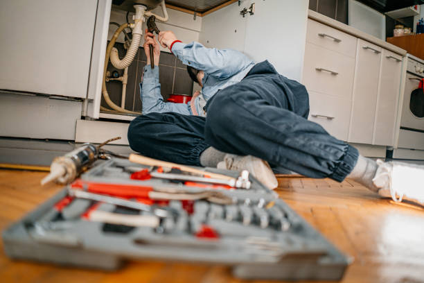 Best Plumbing Services Near Me  in Doniphan, MO