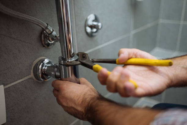 Best Plumbing Inspection Services  in Doniphan, MO