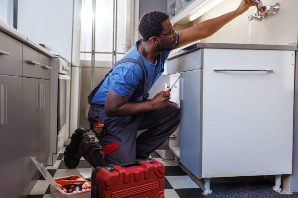 Best Toilet Repair Services  in Doniphan, MO